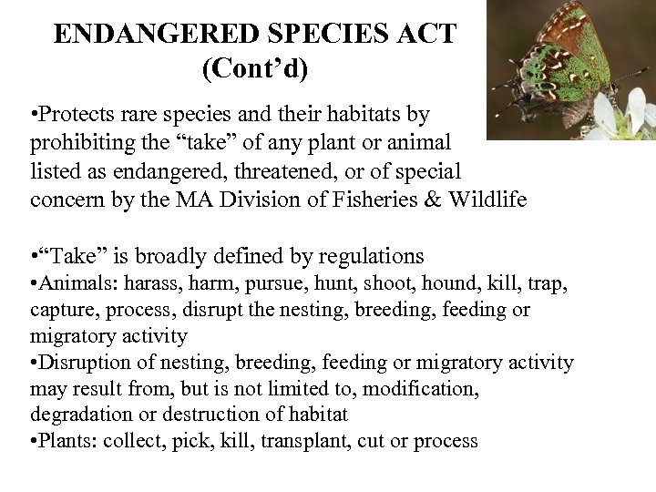 ENDANGERED SPECIES ACT (Cont’d) • Protects rare species and their habitats by prohibiting the