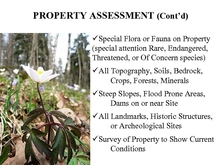 PROPERTY ASSESSMENT (Cont’d) üSpecial Flora or Fauna on Property (special attention Rare, Endangered, Threatened,