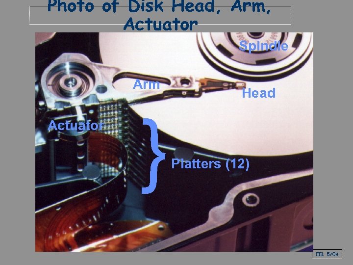 Photo of Disk Head, Arm, Actuator Spindle Arm { Actuator Head Platters (12) EEL