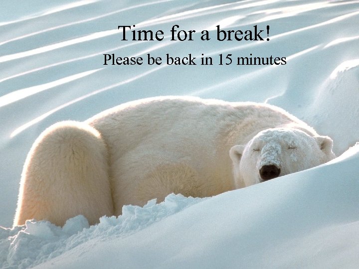 Time for a break! Please be back in 15 minutes 