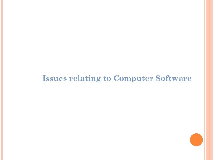 Issues relating to Computer Software 