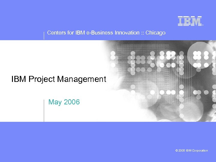 Centers for IBM e-Business Innovation : : Chicago IBM Project Management May 2006 ©