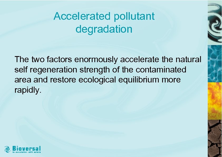 Accelerated pollutant degradation The two factors enormously accelerate the natural self regeneration strength of