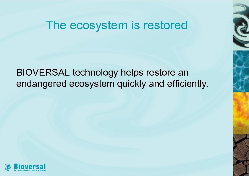The ecosystem is restored BIOVERSAL technology helps restore an endangered ecosystem quickly and efficiently.