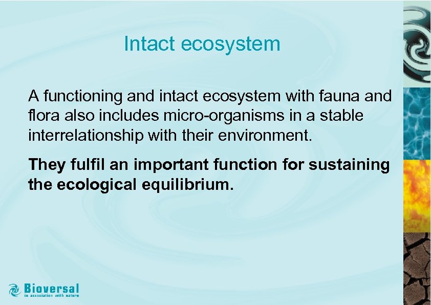 Intact ecosystem A functioning and intact ecosystem with fauna and flora also includes micro-organisms