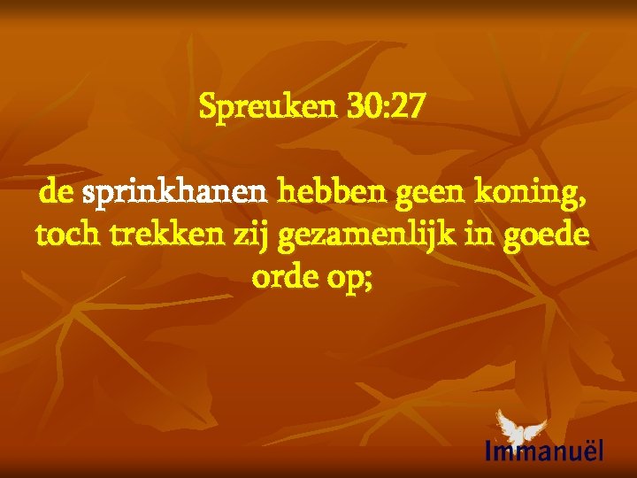 Spreuken 30: 27 de sprinkhanen hebben geen koning, toch trekken zij gezamenlijk in goede