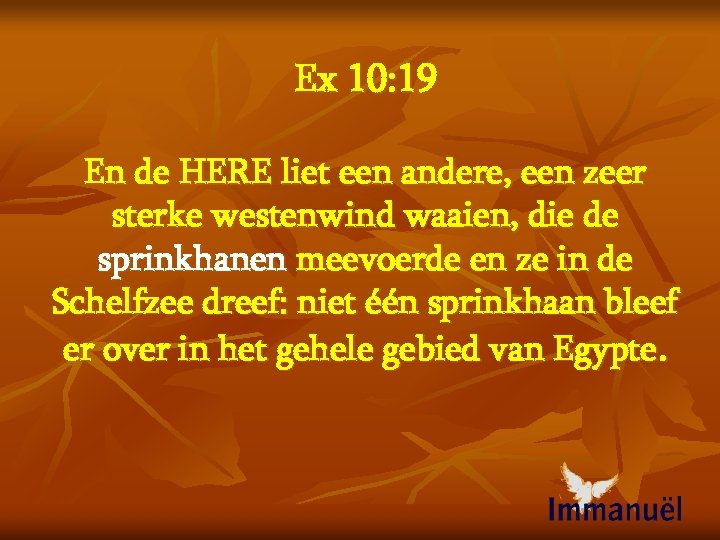 Ex 10: 19 En de HERE liet een andere, een zeer sterke westenwind waaien,