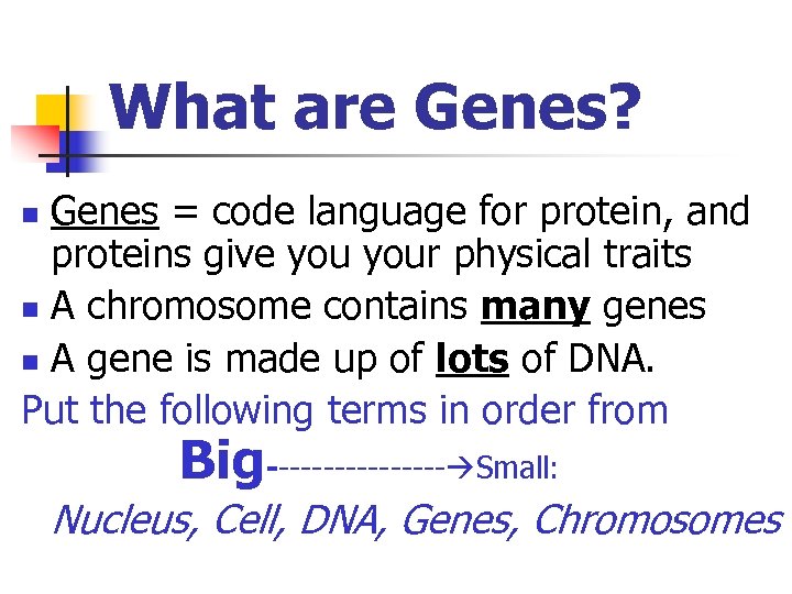 What are Genes? Genes = code language for protein, and proteins give your physical