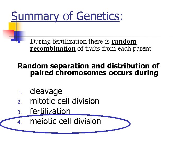 Summary of Genetics: n During fertilization there is random recombination of traits from each