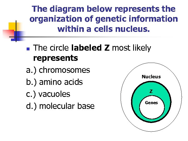 The diagram below represents the organization of genetic information within a cells nucleus. The