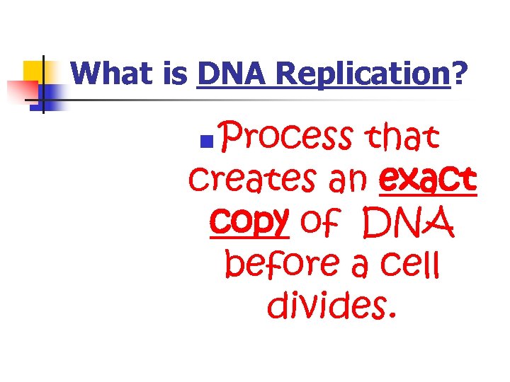 What is DNA Replication? Process that creates an exact copy of DNA before a