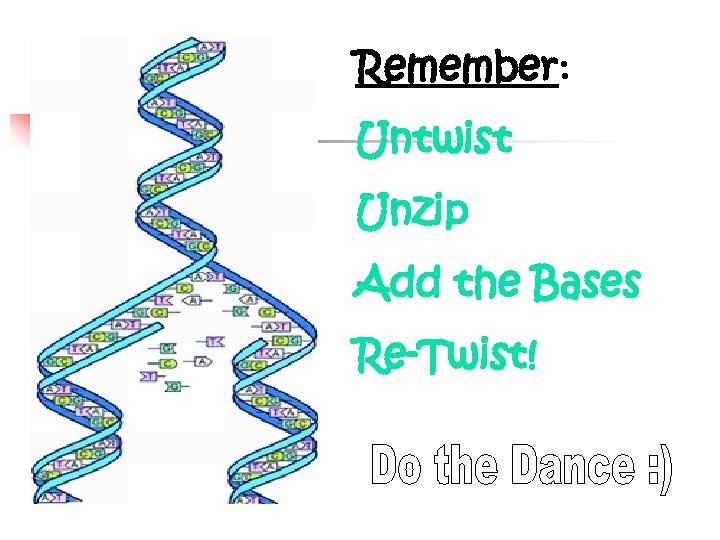 Remember: Untwist Unzip Add the Bases Re-Twist! 