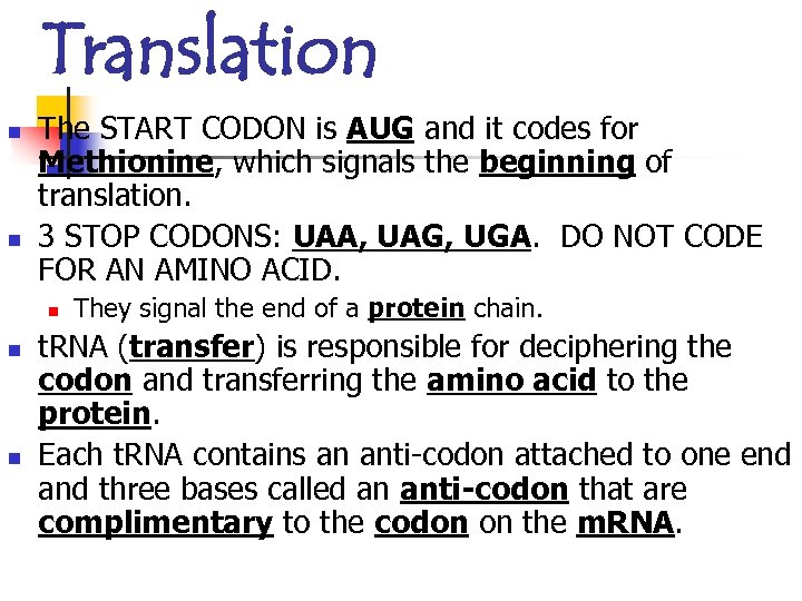 Translation n n The START CODON is AUG and it codes for Methionine, which