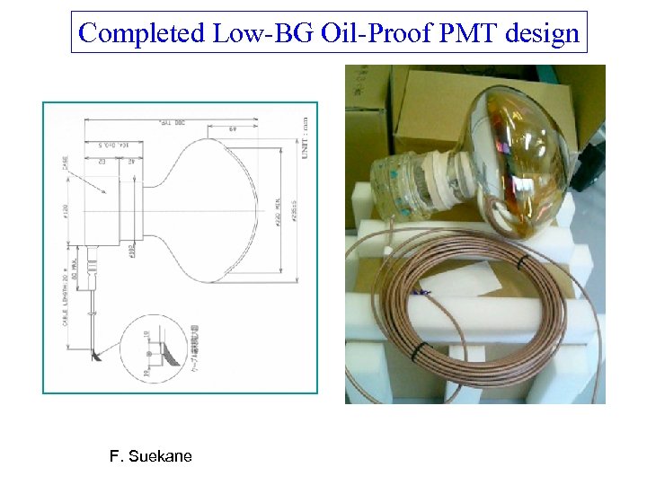 Completed Low-BG Oil-Proof PMT design F. Suekane 