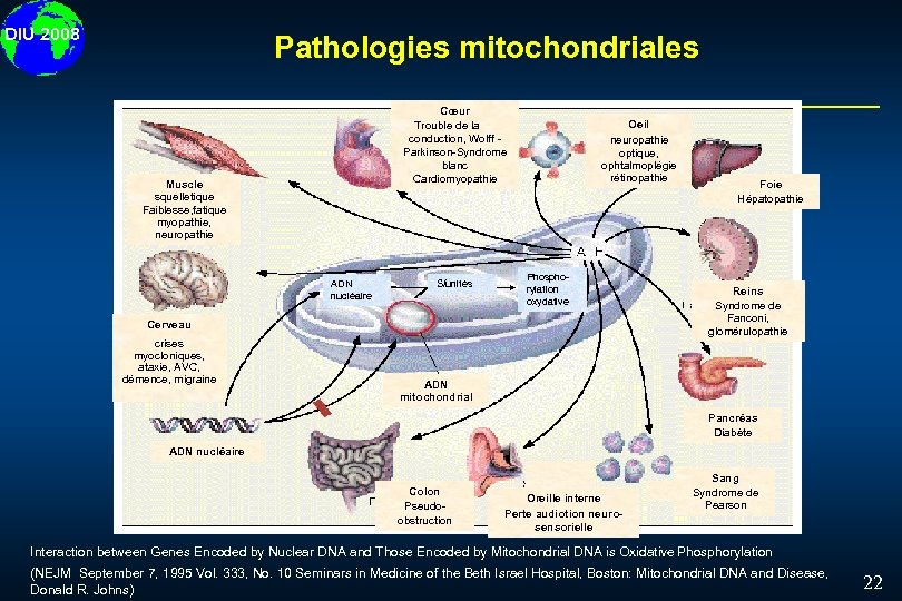 DIU 2008 Pathologies mitochondriales Cœur Trouble de la conduction, Wolff Parkinson-Syndrome blanc Cardiomyopathie Muscle