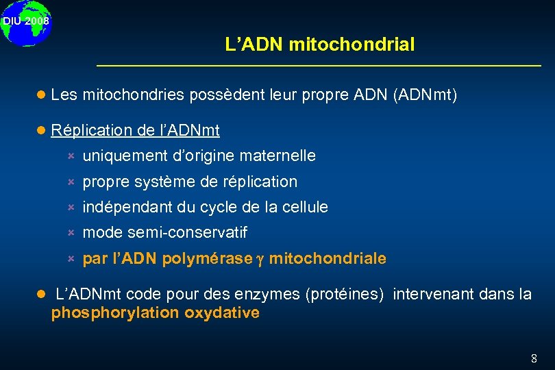 DIU 2008 L’ADN mitochondrial l Les mitochondries possèdent leur propre ADN (ADNmt) l Réplication