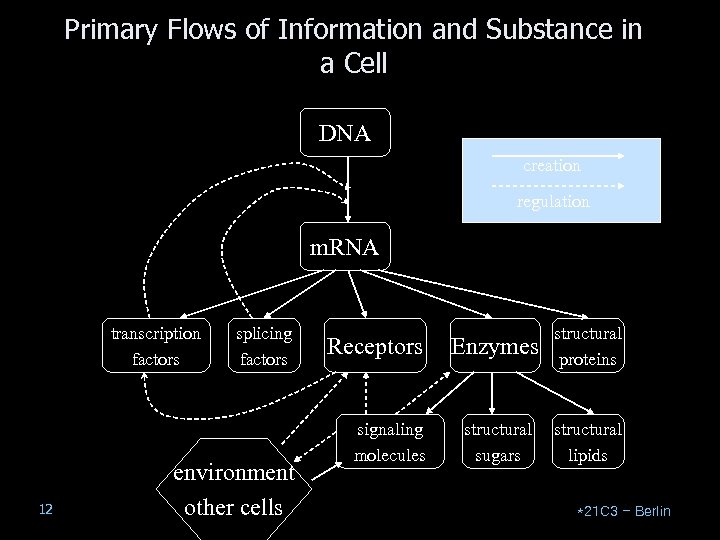 Primary Flows of Information and Substance in a Cell DNA creation regulation m. RNA