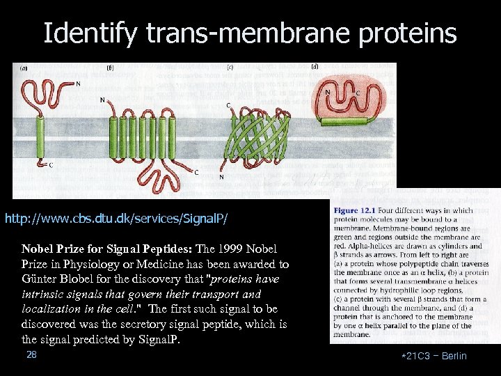 Identify trans-membrane proteins http: //www. cbs. dtu. dk/services/Signal. P/ Nobel Prize for Signal Peptides: