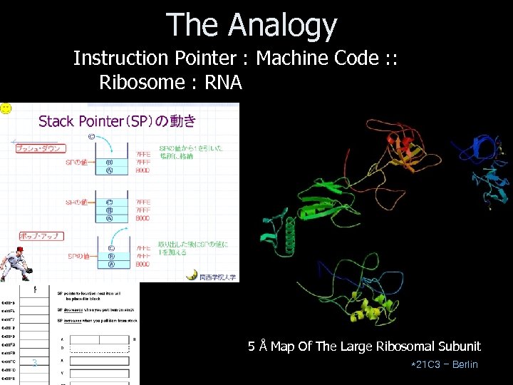 The Analogy Instruction Pointer : Machine Code : : Ribosome : RNA 5 Å