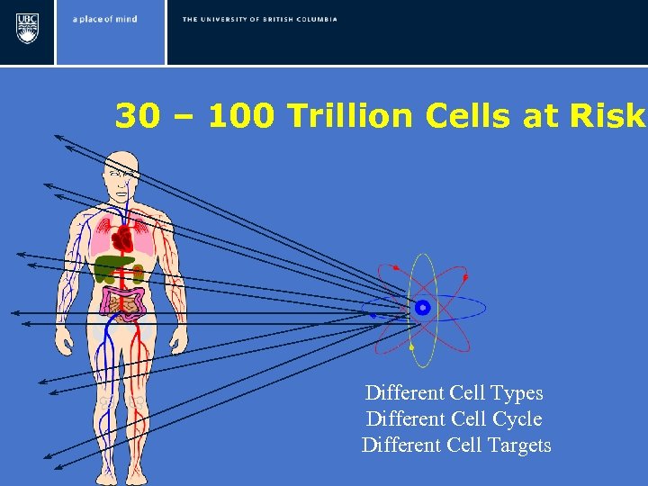 30 – 100 Trillion Cells at Risk Different Cell Types Different Cell Cycle Different