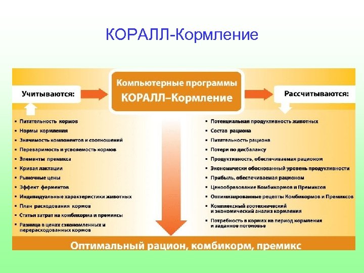 КОРАЛЛ-Кормление 