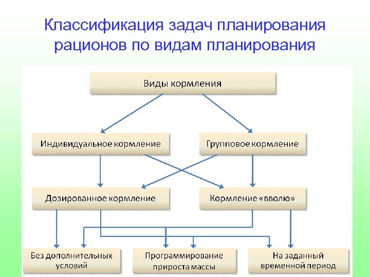 Классификация задач планирования рационов по видам планирования 
