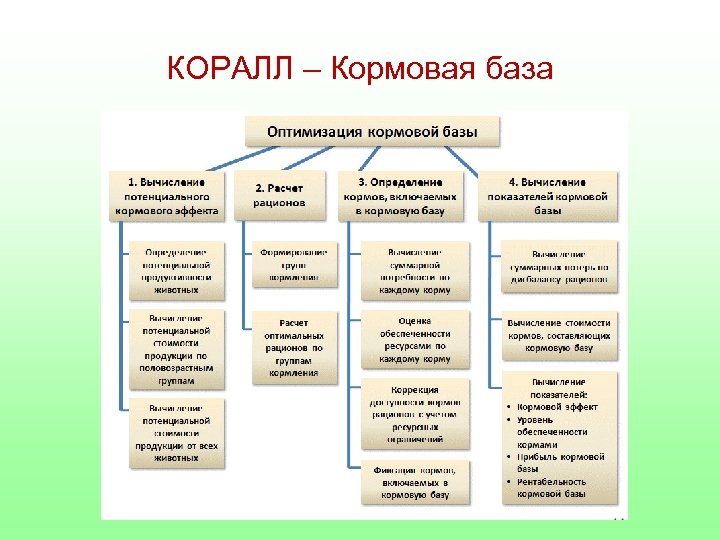 КОРАЛЛ – Кормовая база 