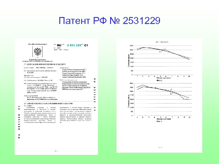 Патент РФ № 2531229 