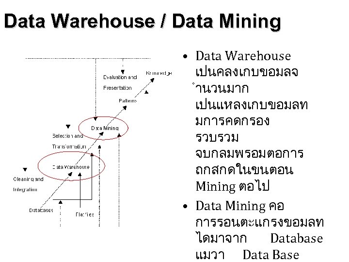 Data Warehouse / Data Mining • Data Warehouse เปนคลงเกบขอมลจ ำนวนมาก เปนแหลงเกบขอมลท มการคดกรอง รวบรวม จบกลมพรอมตอการ