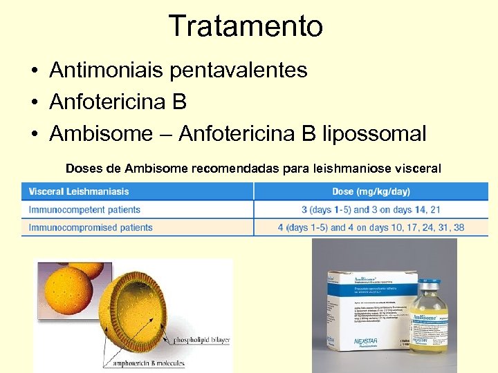 Tratamento • Antimoniais pentavalentes • Anfotericina B • Ambisome – Anfotericina B lipossomal Doses