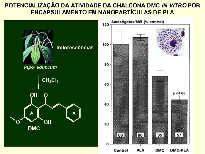 POTENCIALIZAÇÃO DA ATIVIDADE DA CHALCONA DMC IN VITRO POR ENCAPSULAMENTO EM NANOPARTÍCULAS DE PLA