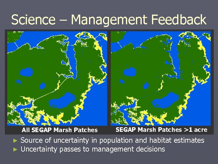 Science – Management Feedback All SEGAP Marsh Patches ► ► SEGAP Marsh Patches >1