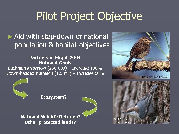 Pilot Project Objective ► Aid with step-down of national population & habitat objectives Partners