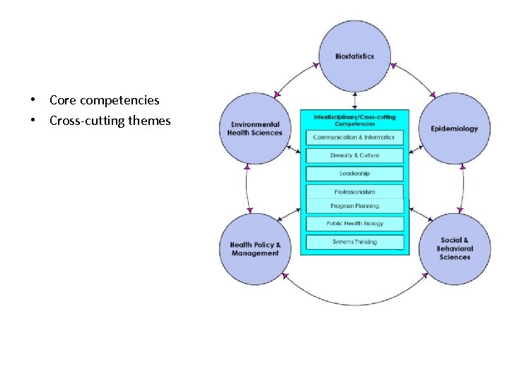  • Core competencies • Cross-cutting themes 