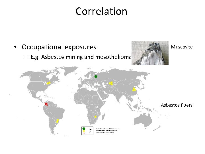 Correlation • Occupational exposures Muscovite – E. g. Asbestos mining and mesothelioma Asbestos fibers