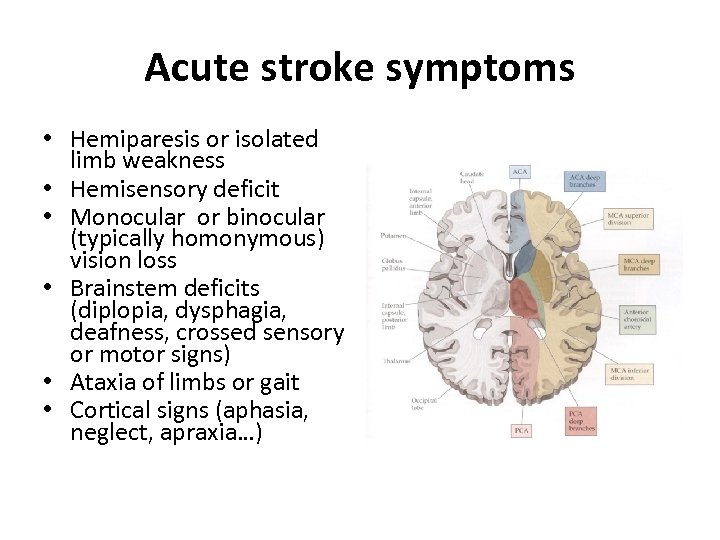 Acute stroke symptoms • Hemiparesis or isolated limb weakness • Hemisensory deficit • Monocular