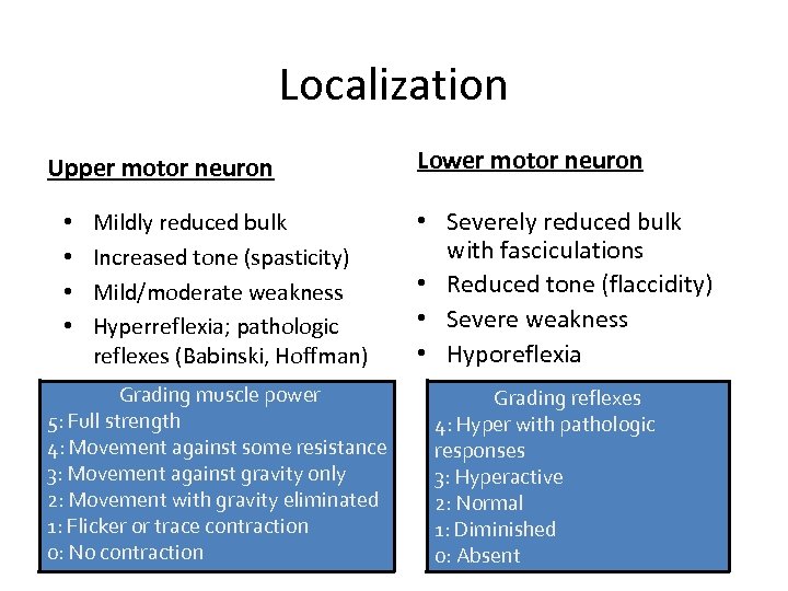 Localization Upper motor neuron • • Mildly reduced bulk Increased tone (spasticity) Mild/moderate weakness