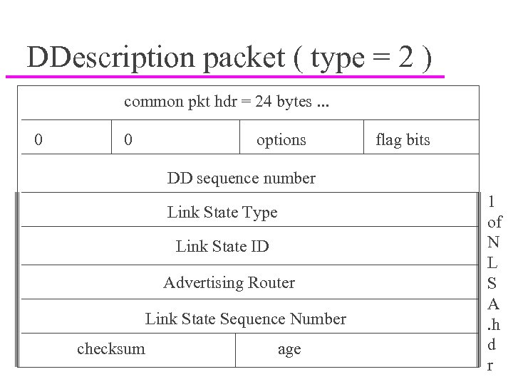 DDescription packet ( type = 2 ) common pkt hdr = 24 bytes. .