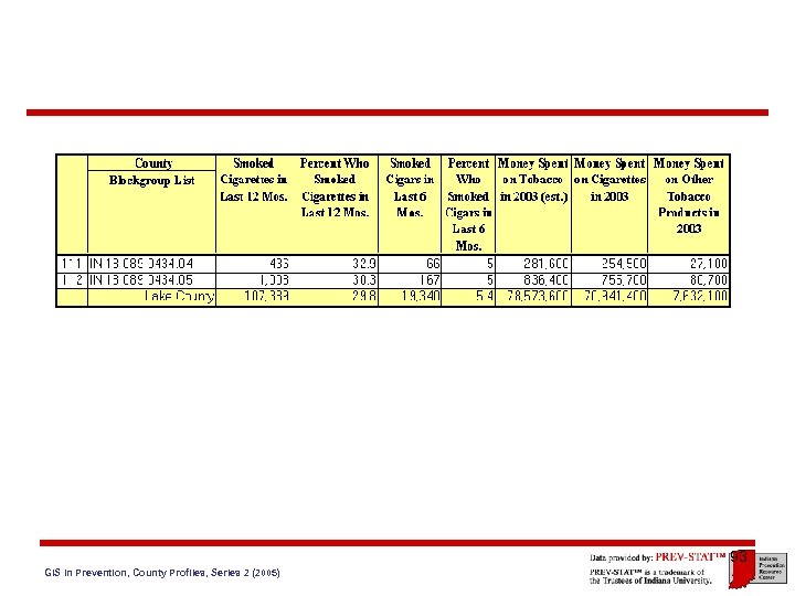 93 GIS in Prevention, County Profiles, Series 2 (2005) 