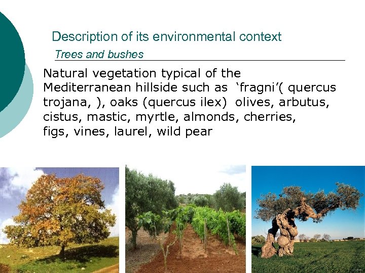  Description of its environmental context Trees and bushes Natural vegetation typical of the