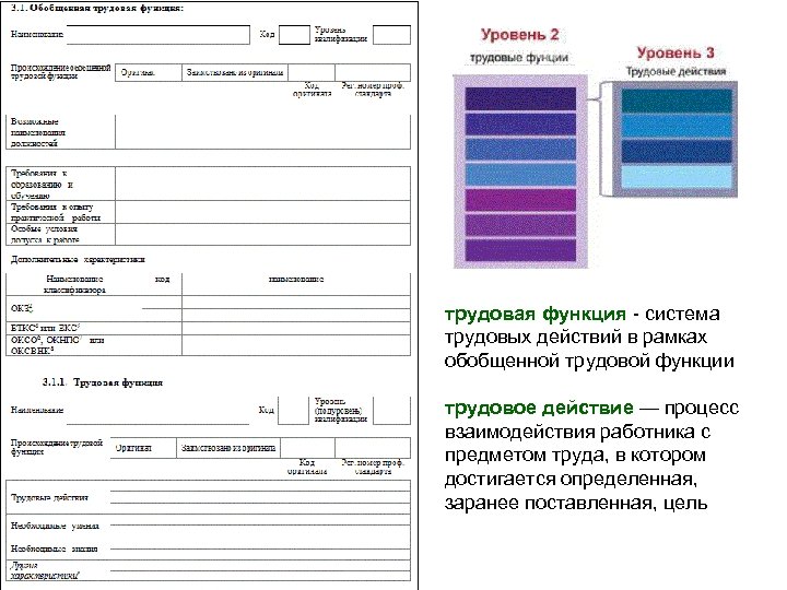 трудовая функция - система трудовых действий в рамках обобщенной трудовой функции трудовое действие —