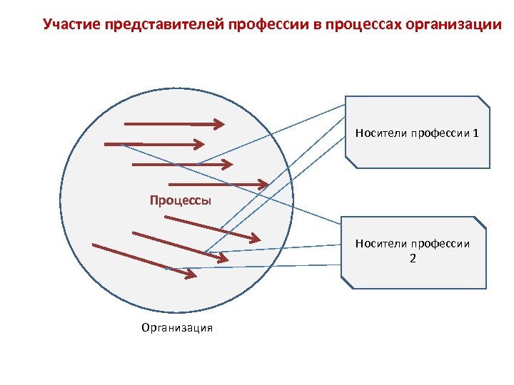 Участие представителей профессии в процессах организации Носители профессии 1 Процессы Носители профессии 2 Организация
