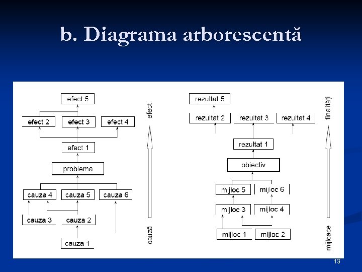 b. Diagrama arborescentă 13 