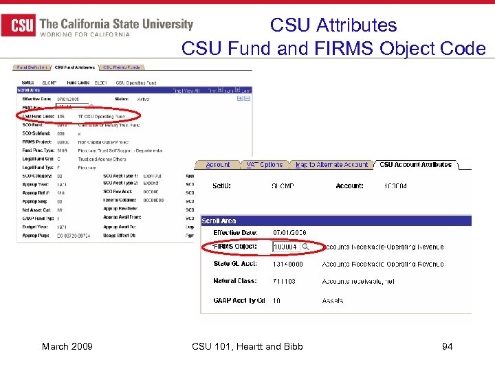 CSU Attributes CSU Fund and FIRMS Object Code March 2009 CSU 101, Heartt and