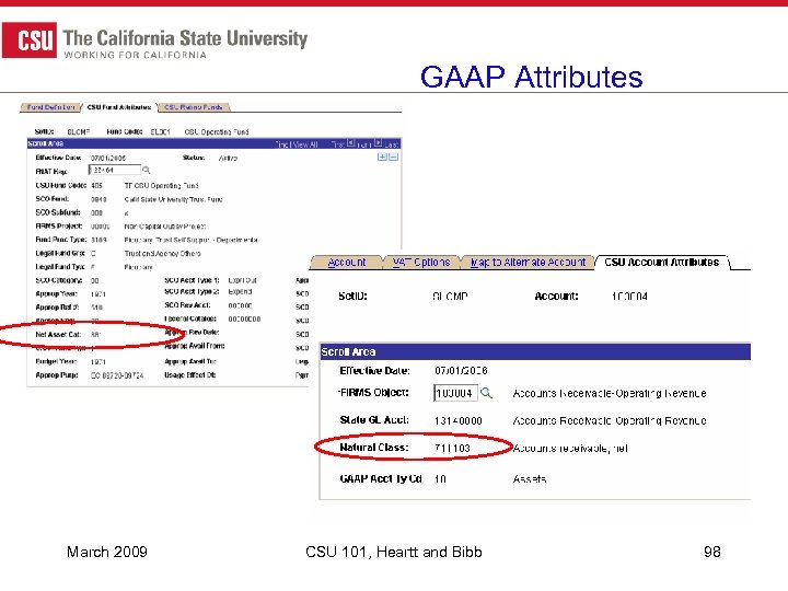 GAAP Attributes March 2009 CSU 101, Heartt and Bibb 98 