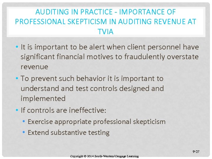 AUDITING IN PRACTICE - IMPORTANCE OF PROFESSIONAL SKEPTICISM IN AUDITING REVENUE AT TVIA •