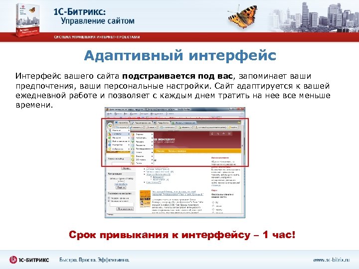 Адаптивный интерфейс Интерфейс вашего сайта подстраивается под вас, запоминает ваши предпочтения, ваши персональные настройки.
