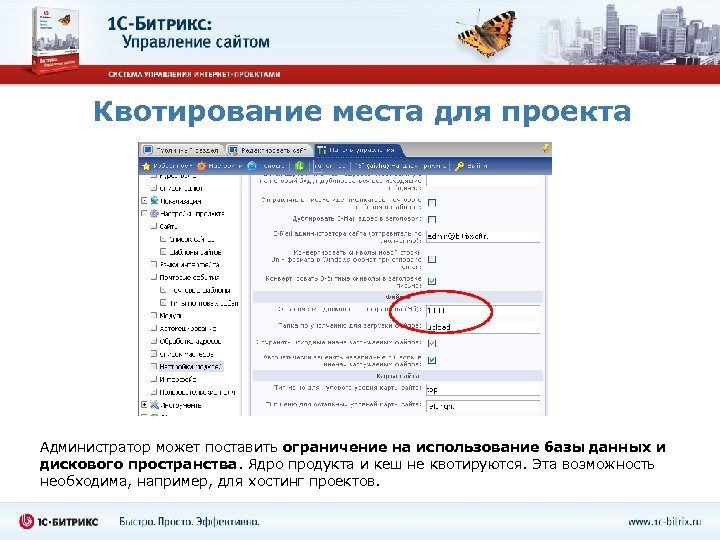 Квотирование места для проекта Администратор может поставить ограничение на использование базы данных и дискового