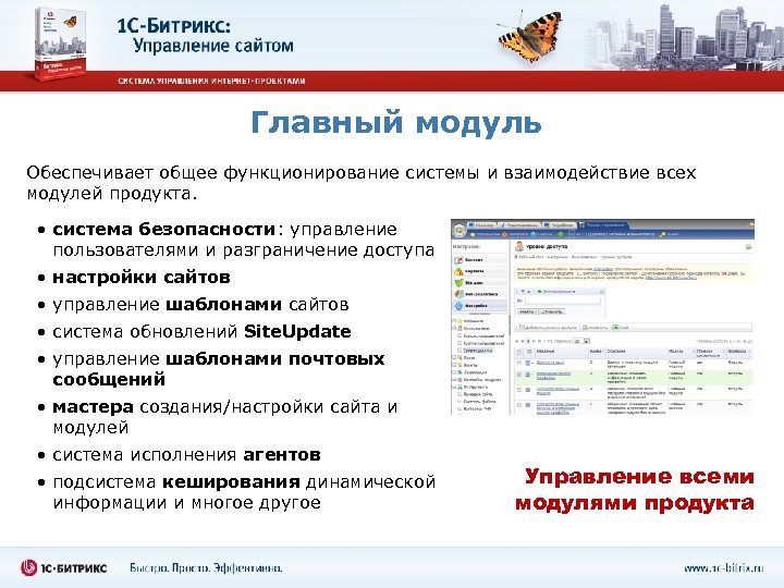 Главный модуль Обеспечивает общее функционирование системы и взаимодействие всех модулей продукта. • система безопасности: