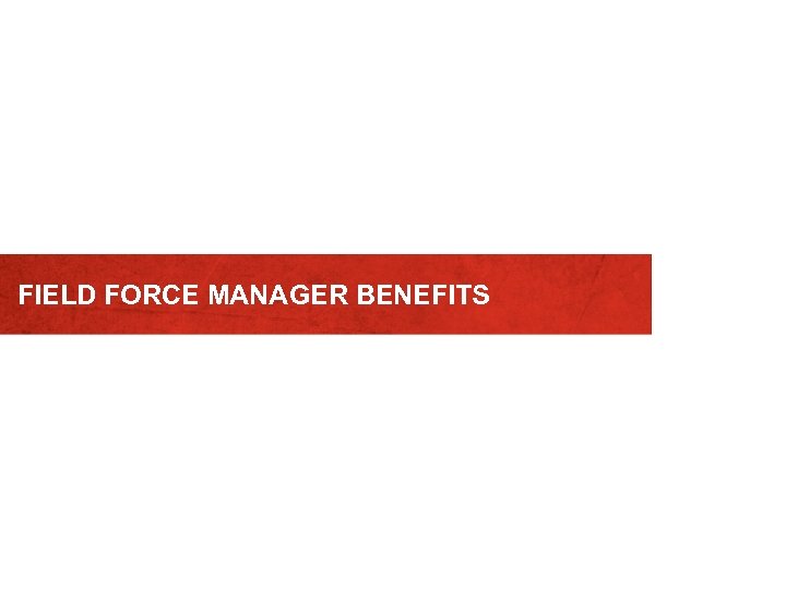 FIELD FORCE MANAGER BENEFITS 